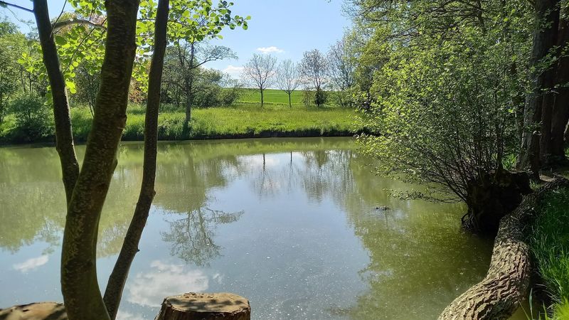 pois/waldsee-xtraumschleife-rabenlay-4f7f
