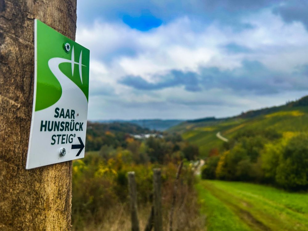 Saar Hunsrück Steig   27