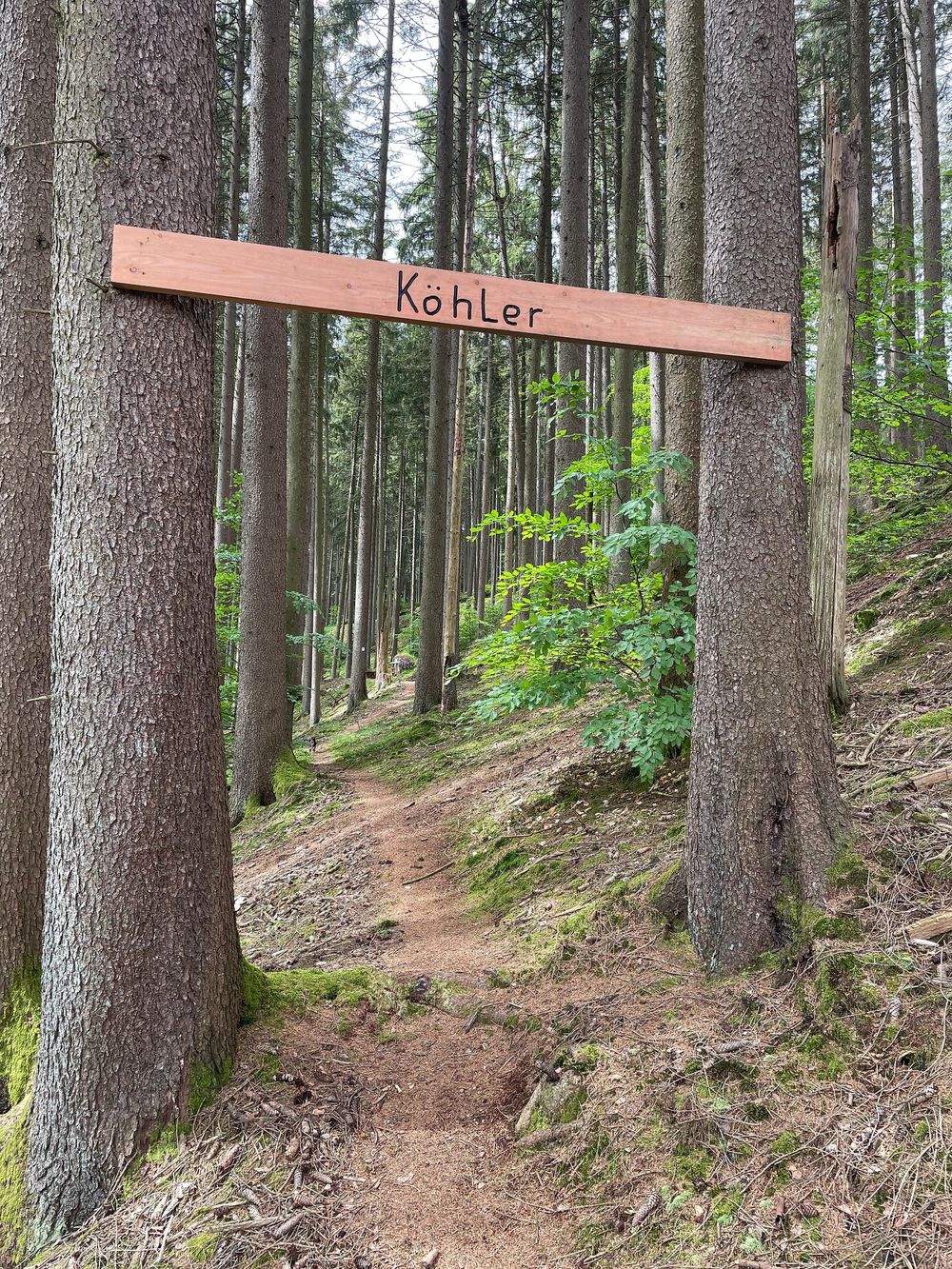 Traumschleifchen "Dä hohle Wää" 4ldkpx