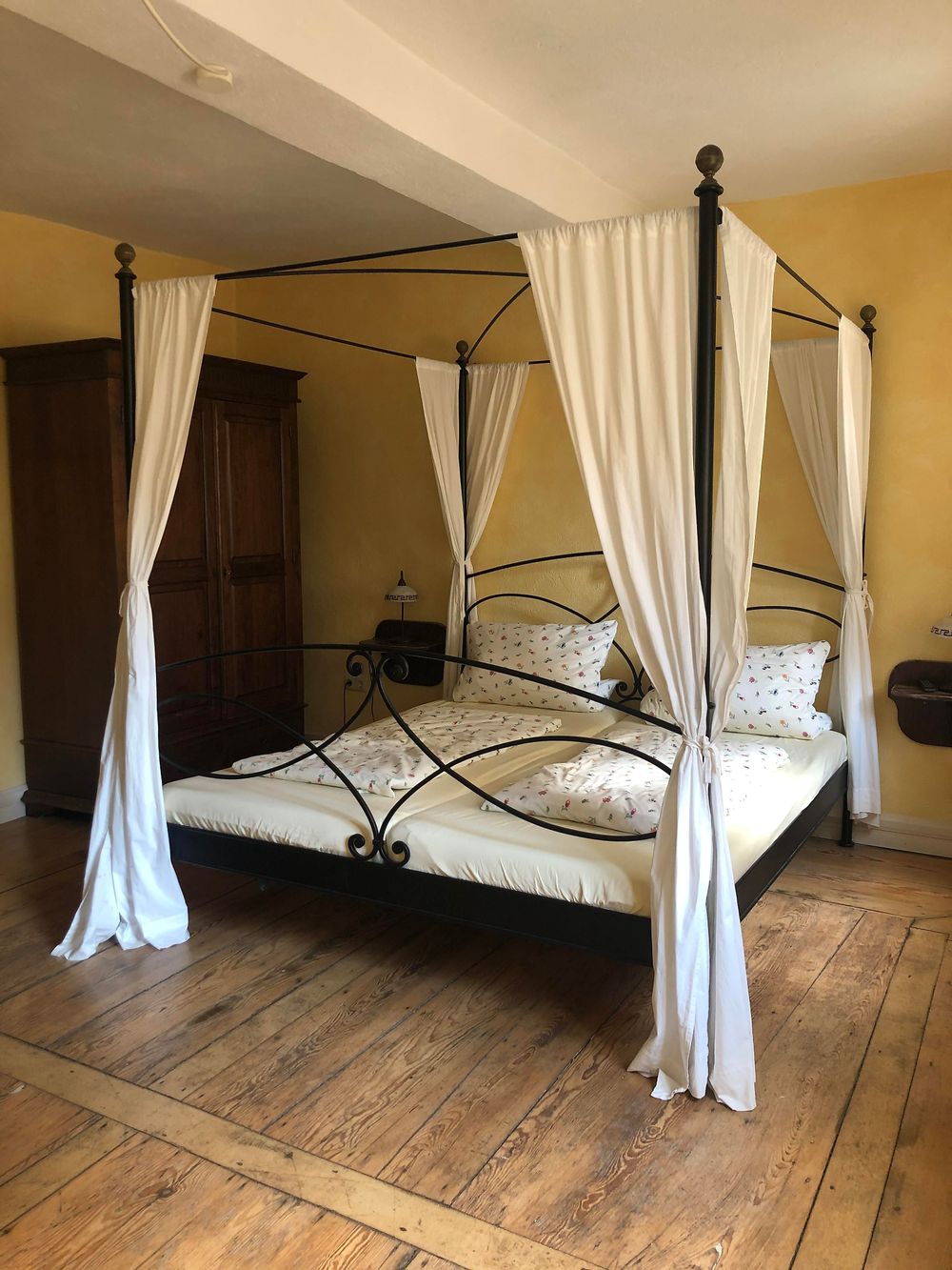 Altstadtmeise: Elegance 4lq9gi
