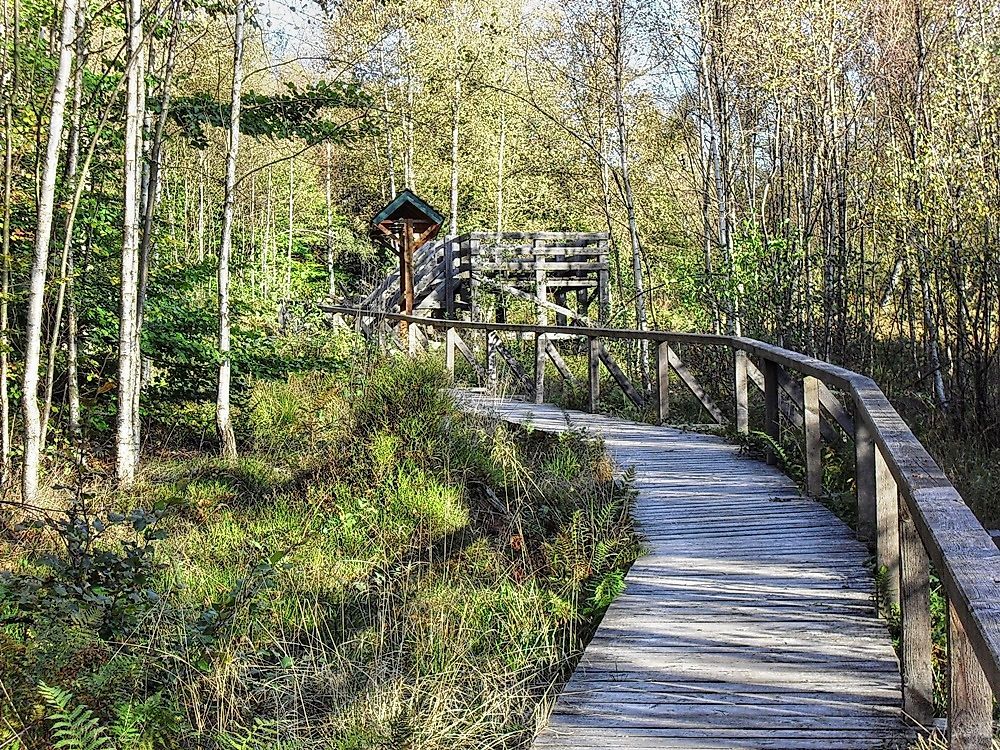Saar Hunsrück Steig   26