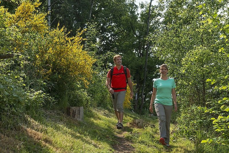 Traumschleife Der Hochwälder 4njehk
