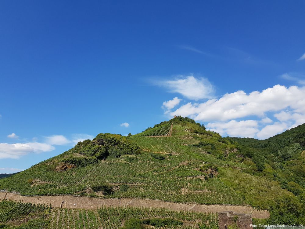 Collis Rundwanderweg Zell (Mosel) 4q586l