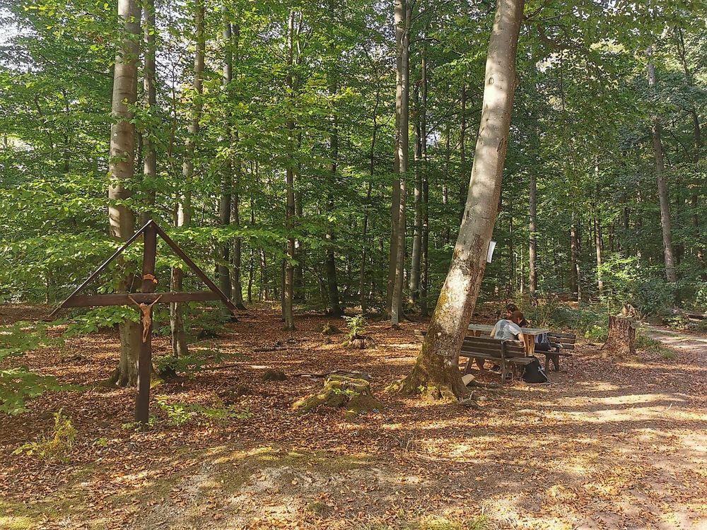 Pissamann Rundwanderweg Zell Merl 4qs898