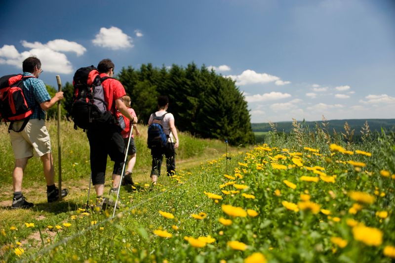 tochten/saar-hunsrueck-xsteig-17-etappe-xsohren-nord-hahn-altlay-44e6
