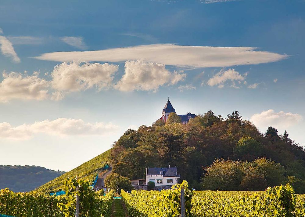 Weinlehrpfad Pünderich 4tb3m4