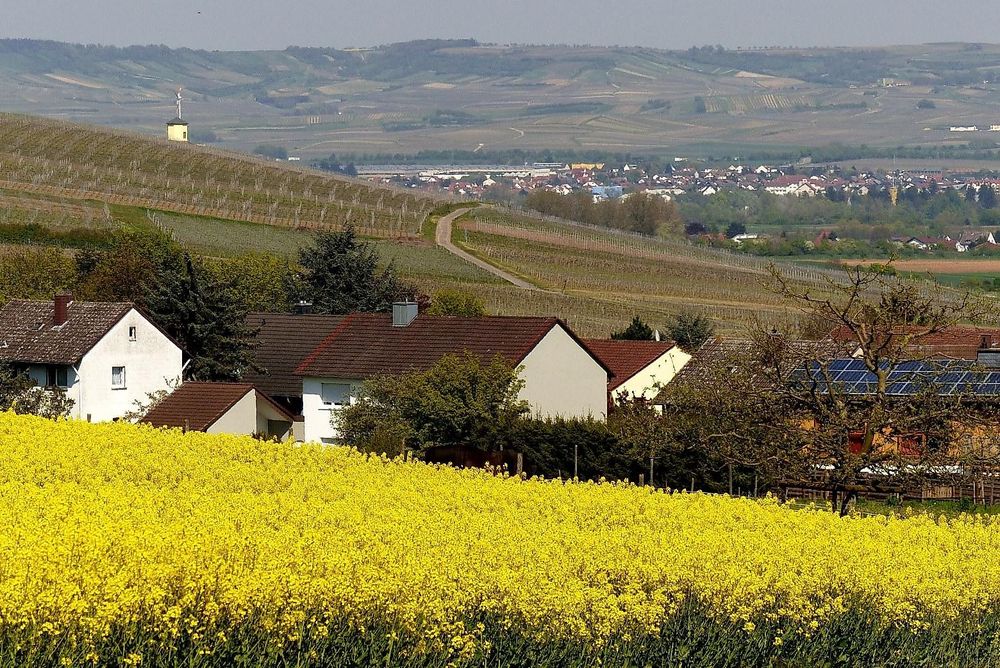 Weingut & Gästezimmer Butzbach 67cn4e