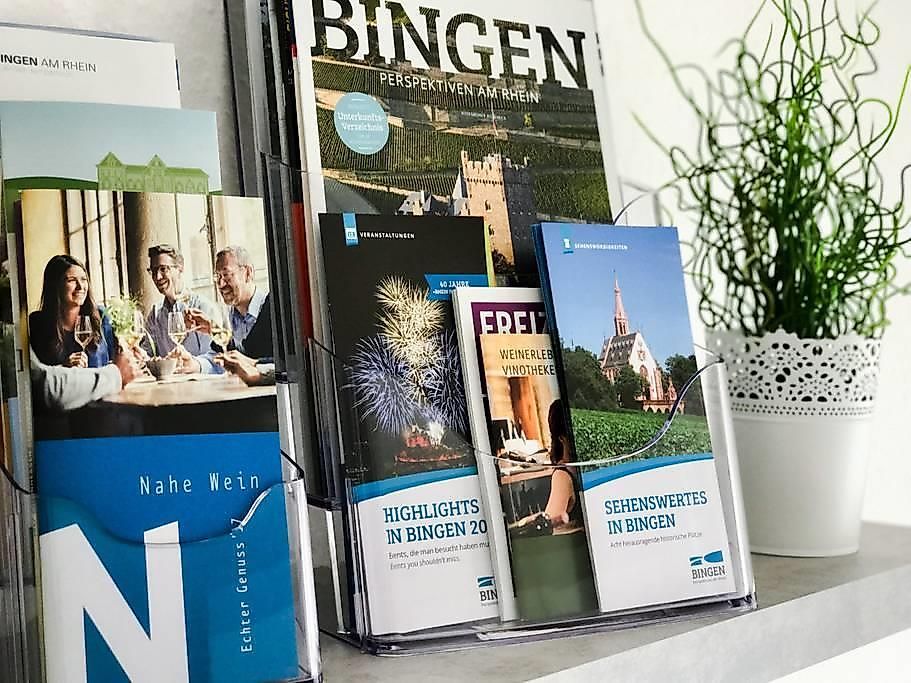 Ferienwohnung Am Rheinufer 69493h