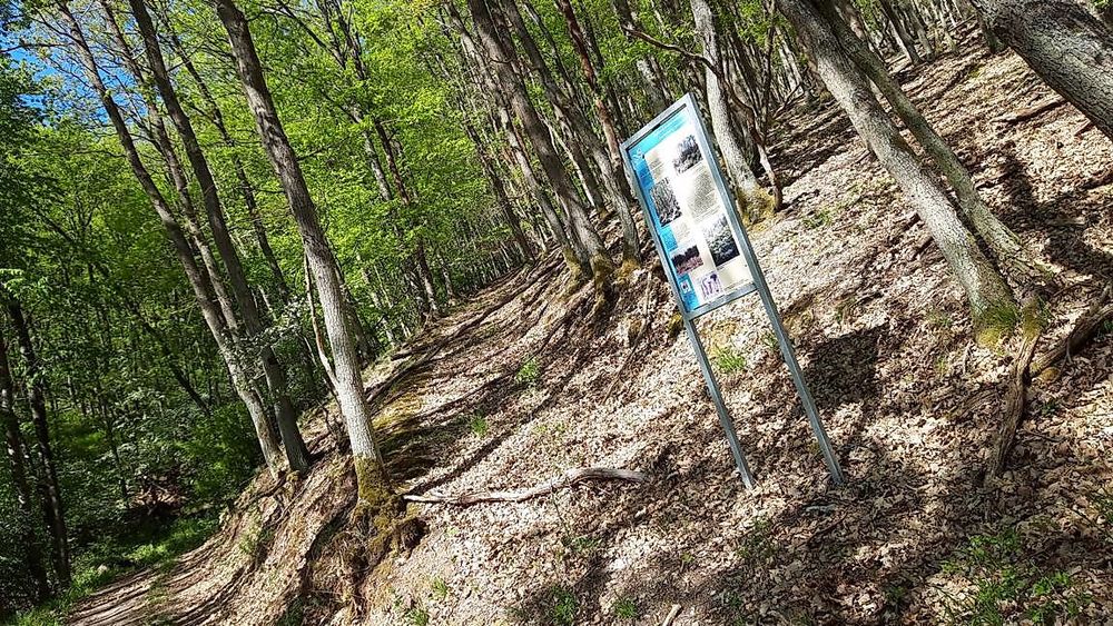 Vitaltour   Mit Krebs un Karer unerwäschs 68n1zf