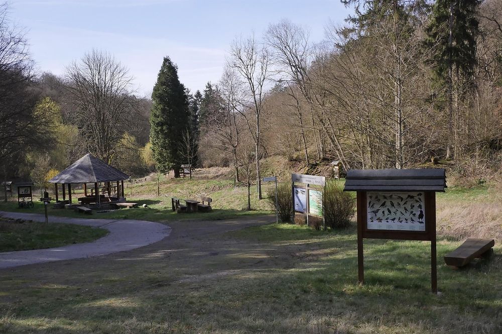 Waldforum Roskerbach 4wynbp
