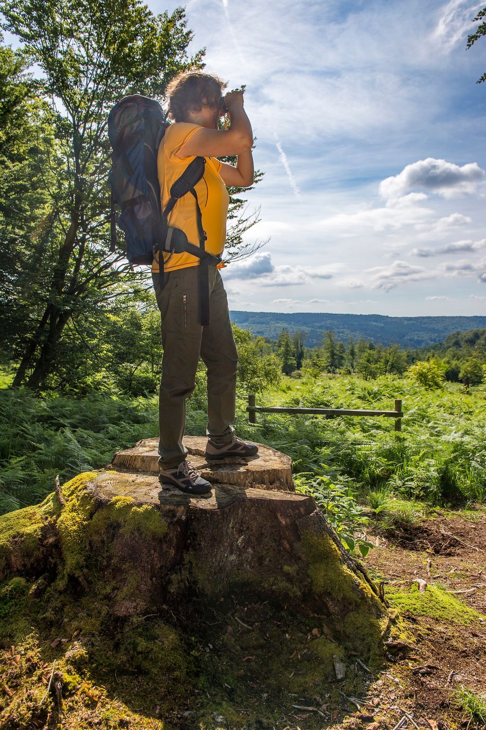 Nationalpark Traumschleife Börfinker Ochsentour 4yqgnp