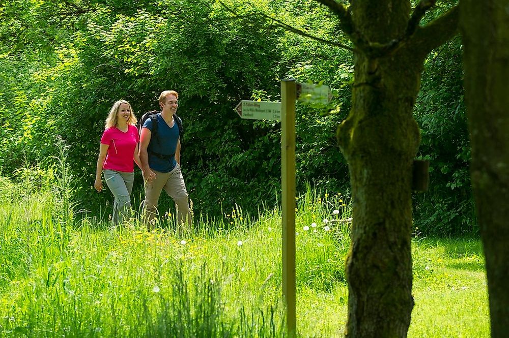 Traumschleife Wildnis Trail Weiskirchen 4zi1xh