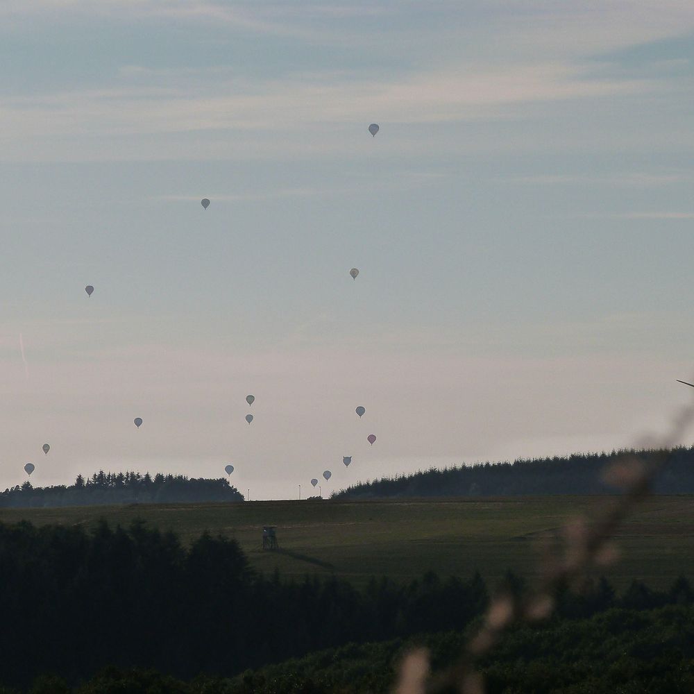 Villa Mosel 5c4mvj