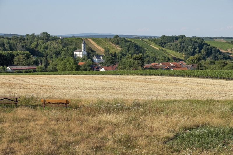 pois/hase-hiwwel-xmandel-255d