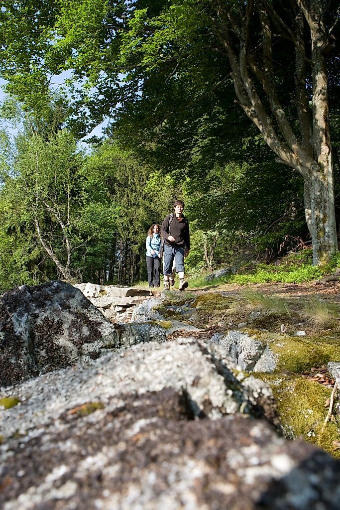 Saar Hunsrück Steig   12
