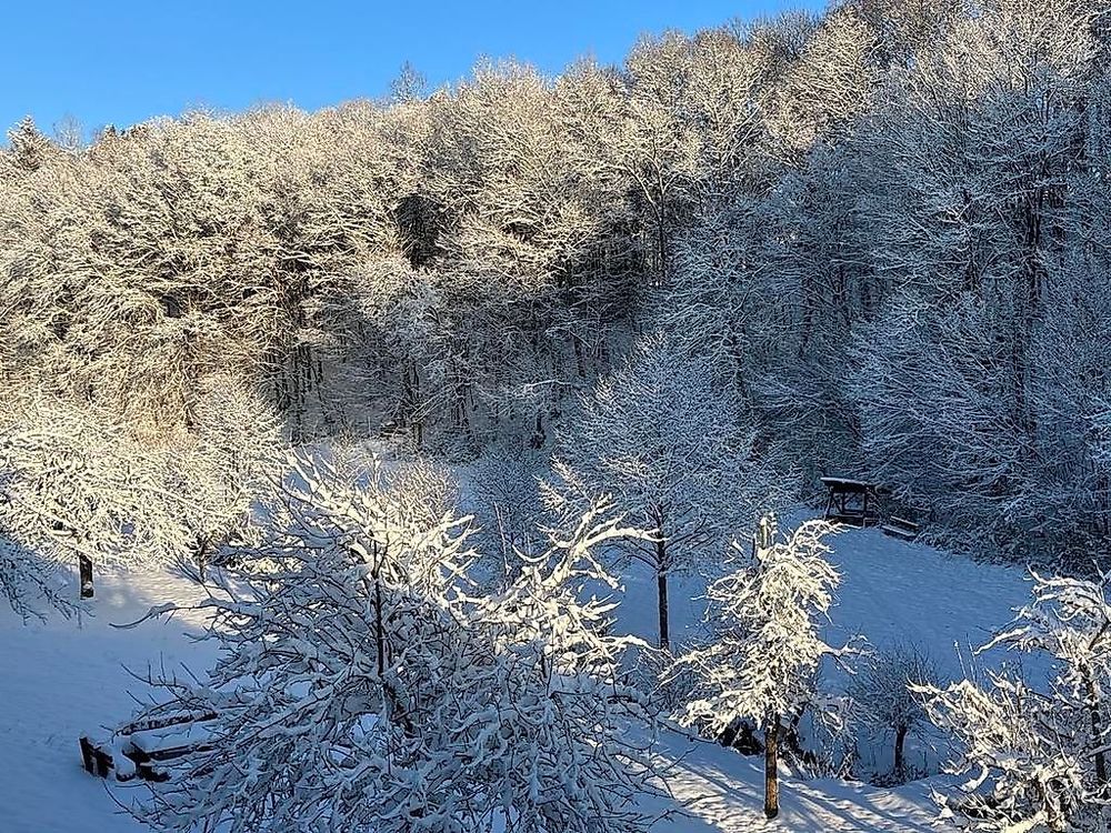 Schwollbachhof   Naturerlebnis im Hunsrück 5hqdwd