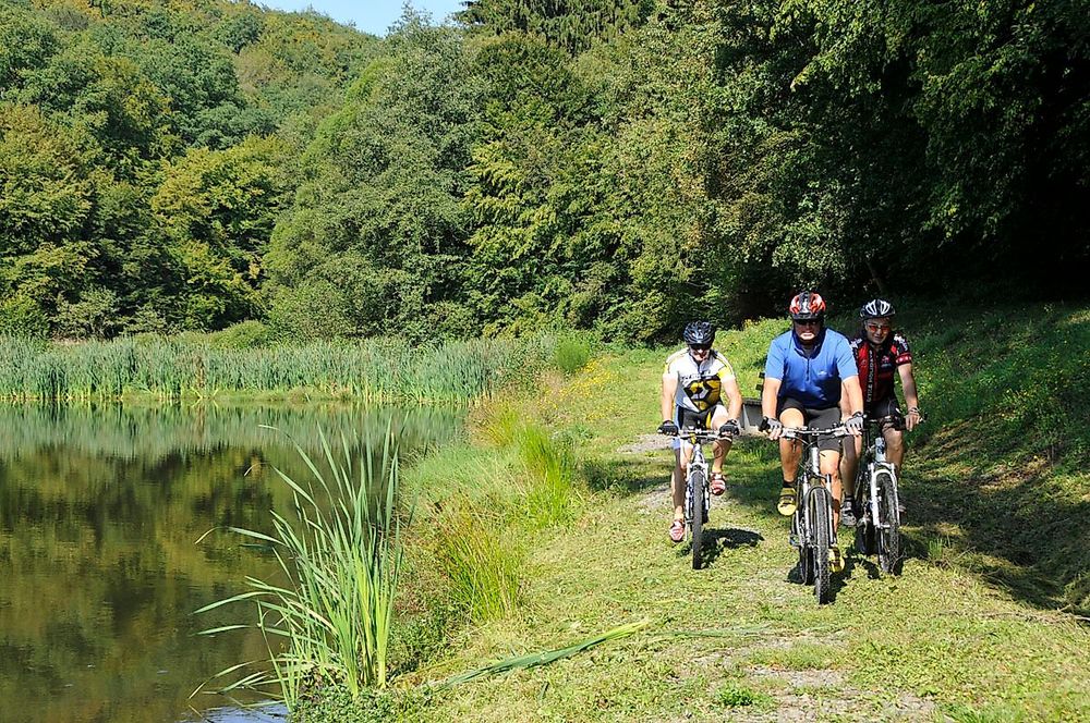 MTB 6 Ausdauer Tour 5ig092