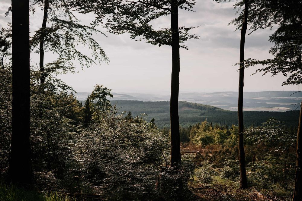 Nationalpark Hunsrück Hochwald 5irhpr