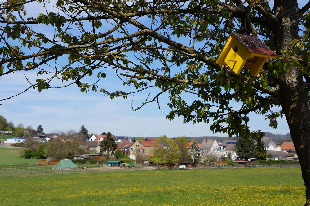 Natur und Kunstweg Roth bei Bingen 5ks68v