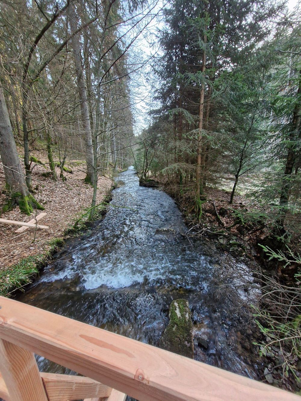 Haus Helga 5m70eo