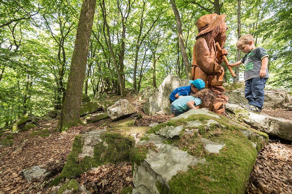 Traumschleifchen Zauberwald   Willy Wurzels Naturerlebnisweg 712jjy