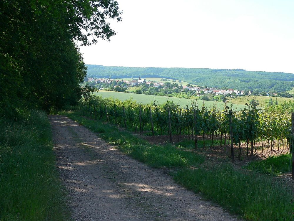 Braunweiler Schneckenpfad 5o8b3b