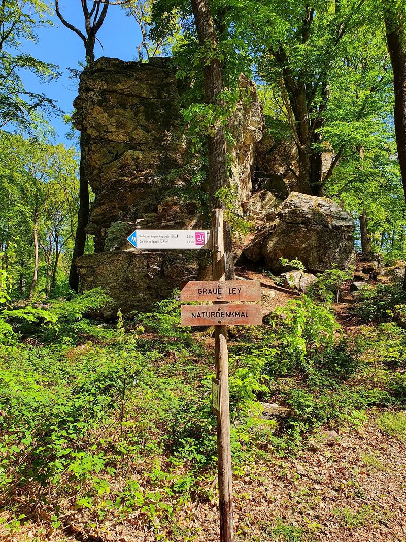 Traumschleife Jakob Maria Mierscheid Weg 5o8q5f