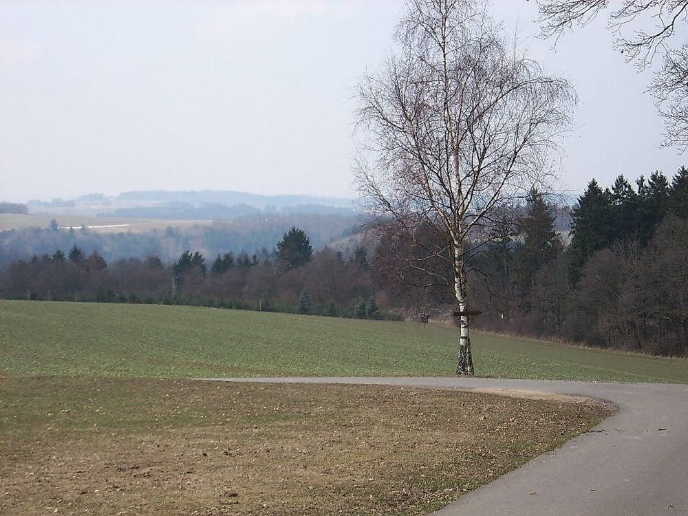 Spaziergang 3   Emmelshausen Heilbrünnchen 5ptzvk