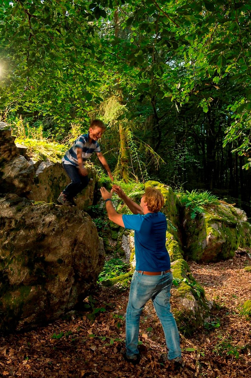 Heckelbüschfelsen   Quarzitformation im Henterner Wald 5qw64m