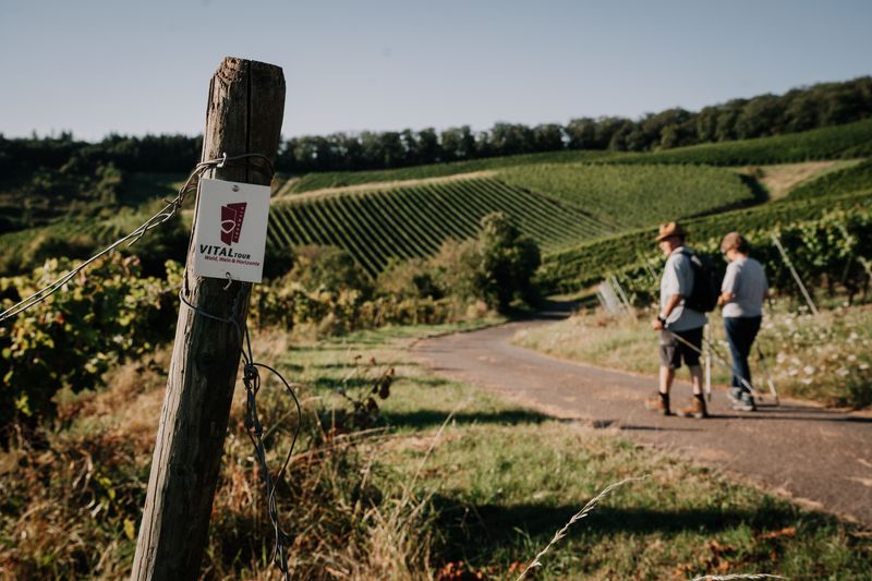 Vitaltour "Wald, Wein & Horizonte" 5ubii6