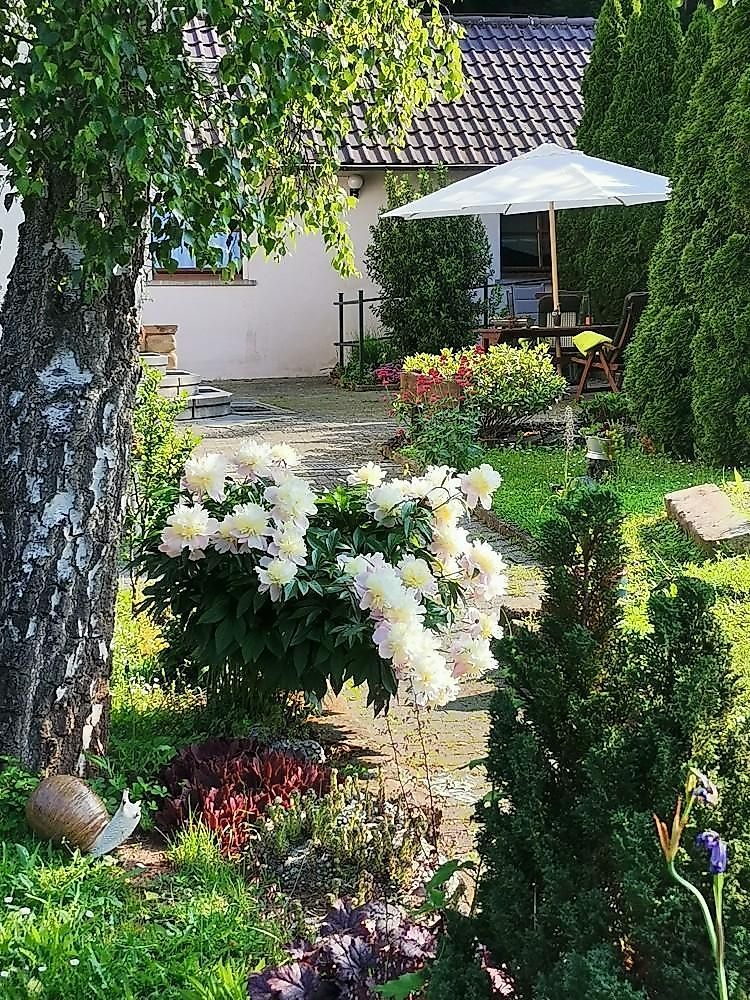 Ferienwohnung Barth 77db48