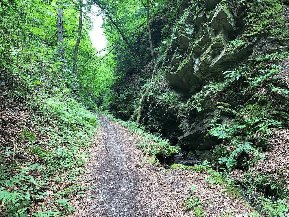 Rundwanderweg „Liebesschlucht“, Zell (Mosel) 5vc6cx