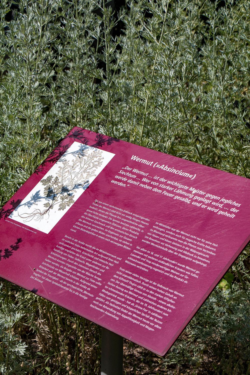 Hildegarten am Historischen Museum am Strom 78kuax