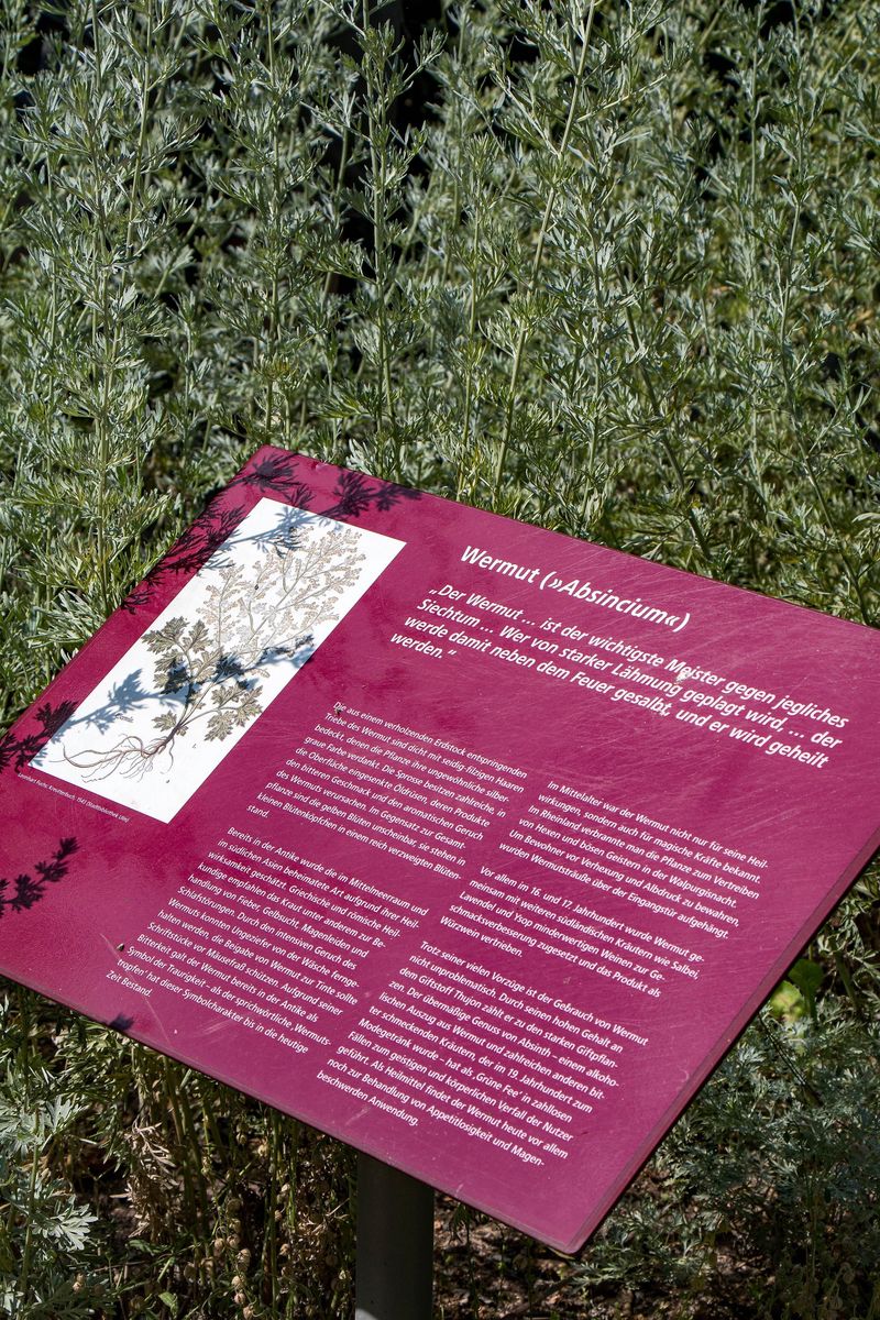 pois/hildegarten-am-historischen-xmuseum-am-xstrom-f389
