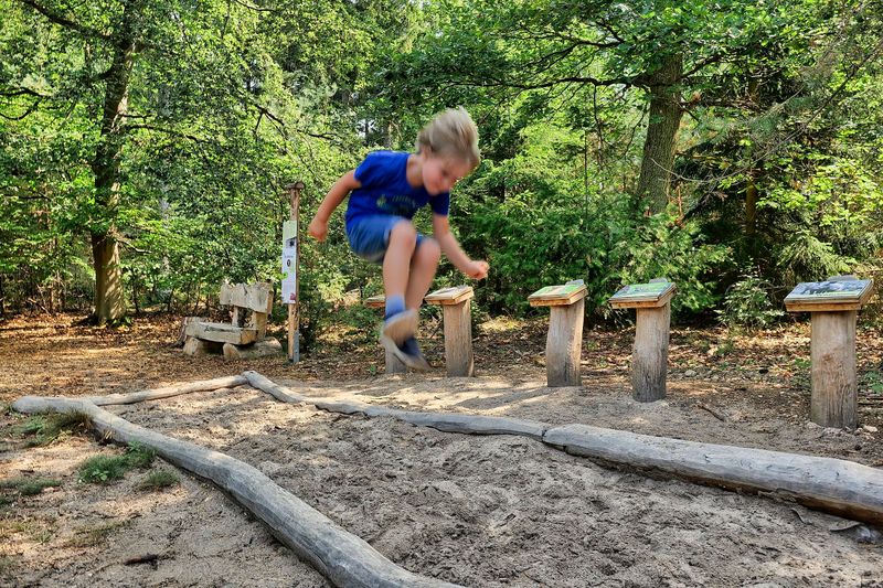 Rottentour im Langenlonsheimer Wald   OFFIZIELLE WEGBESCHREIBUNG! 78te96