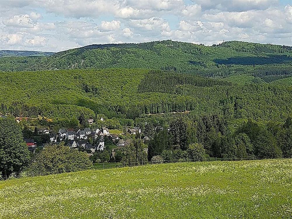 Fewo Brillant am Nationalpark Hunsrück Hochwald 5wdw75