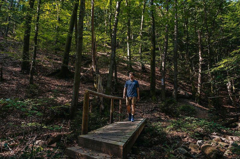 Traumschleife Hochwald Pfad 5xqdvp