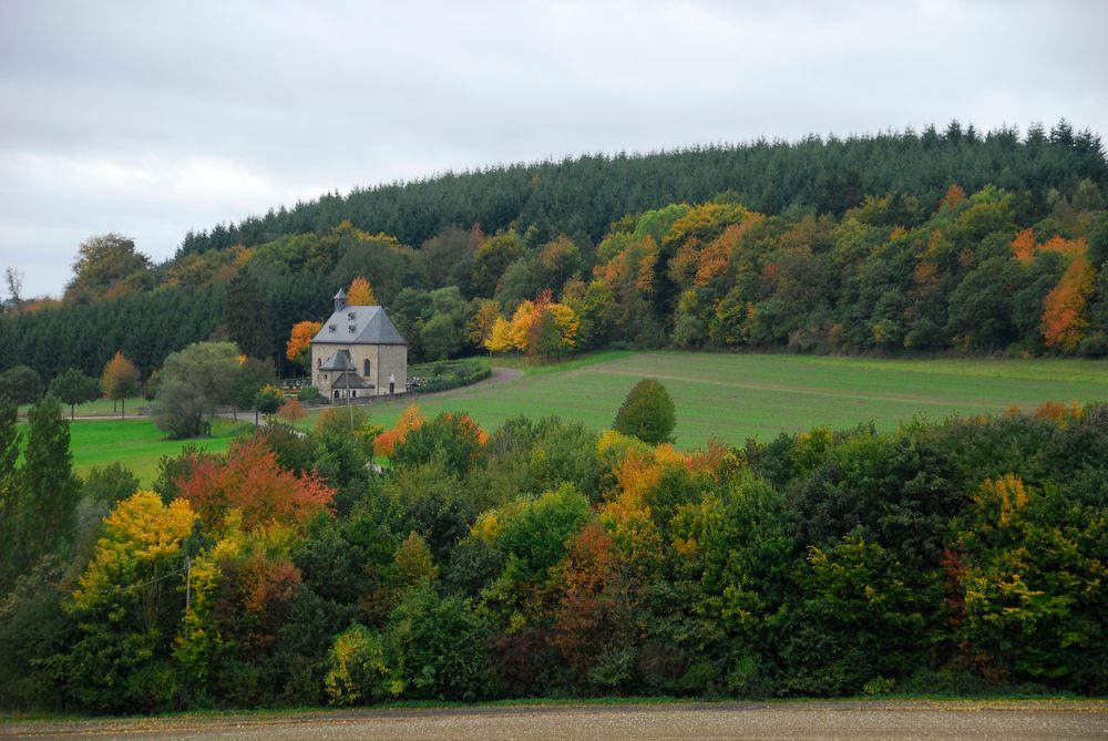 Rheinhöhentour St