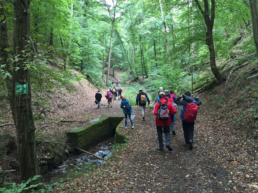 Vitaltour Geheimnisvoller Lemberg 6akug1