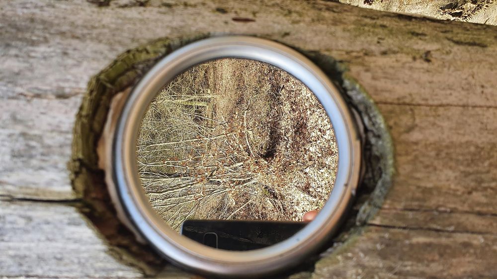 Geh Denke Weg: Spiegelbaum 6ed1do