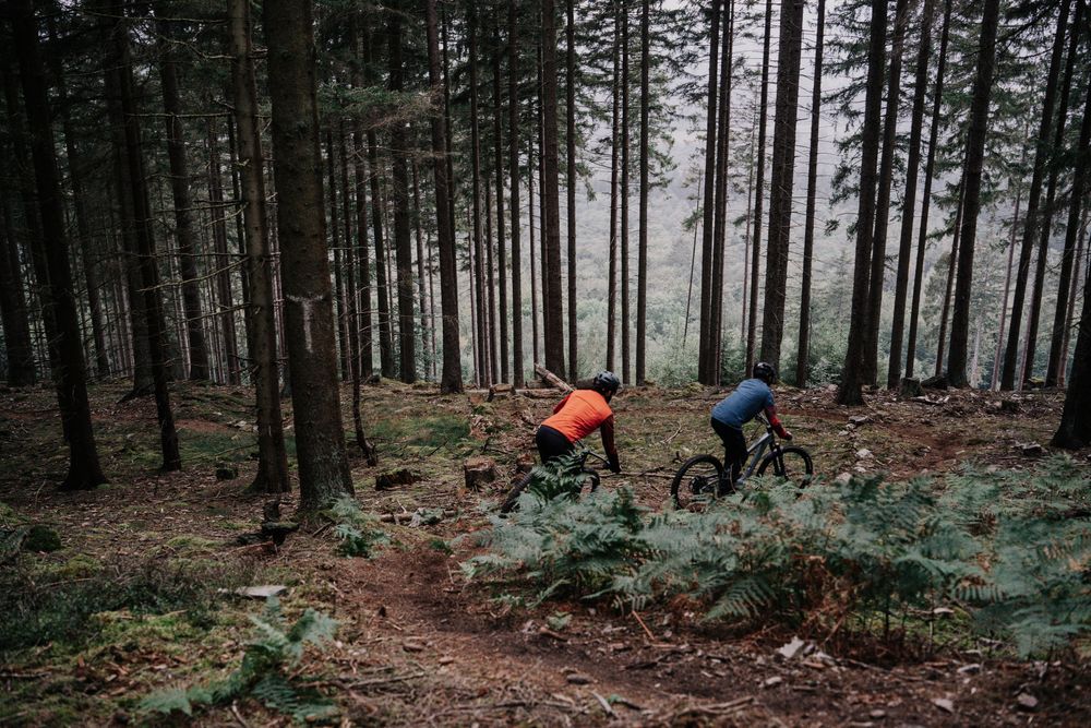 "Celtic Trails"   Mountainbike Loop 6g9731