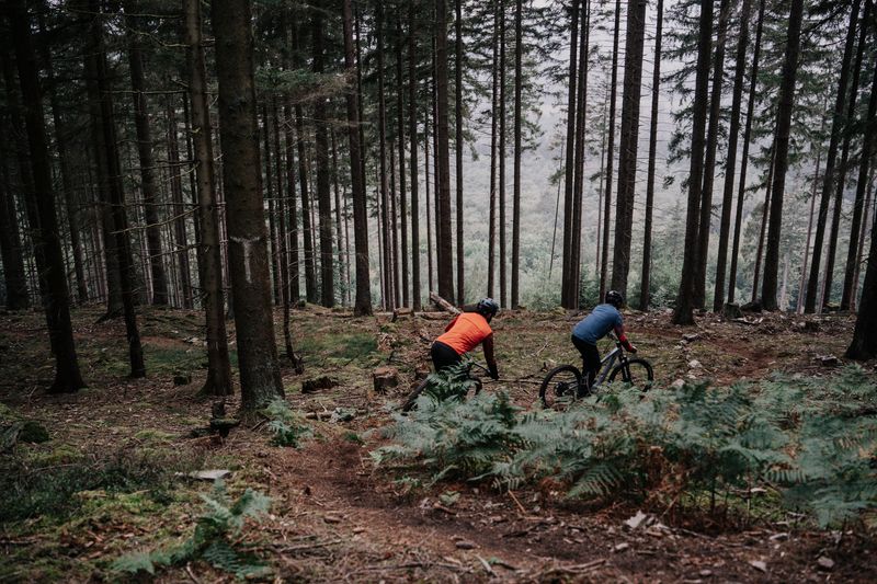 "Celtic Trails"   Mountainbike Loop 6g9731