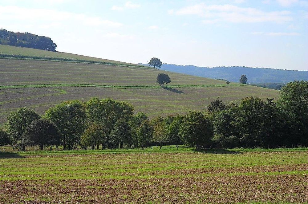 Tiefenbach Pfad 6k4u1d