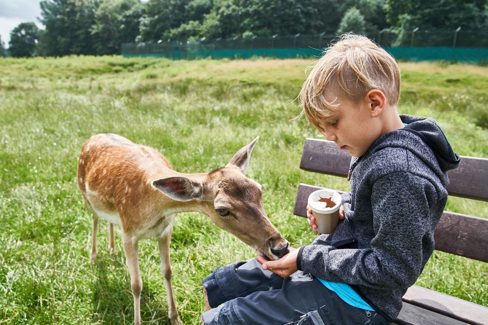Tierpark Rheinböllen 6iwv8b