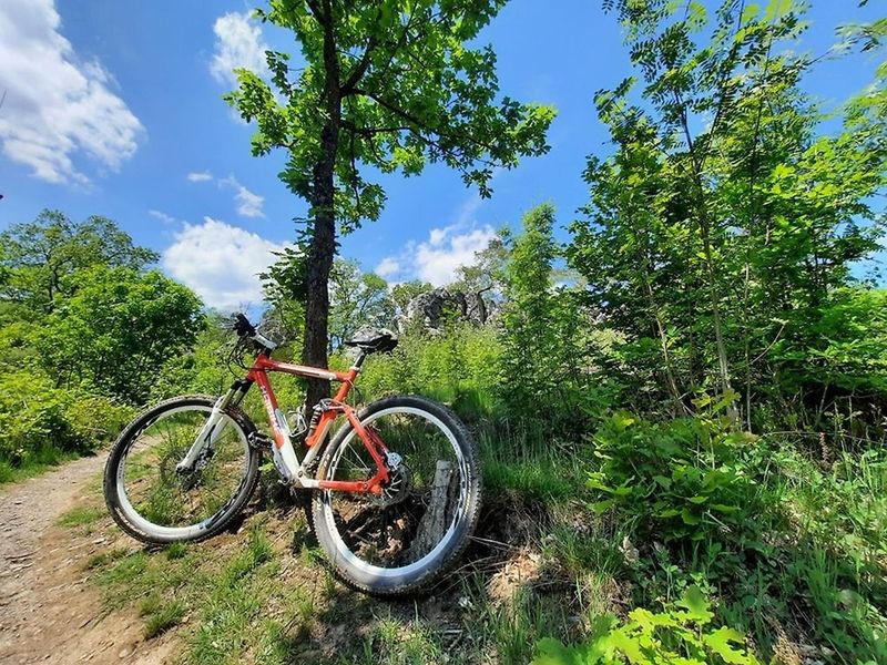 pois/nationaalpark-fietstocht-8859
