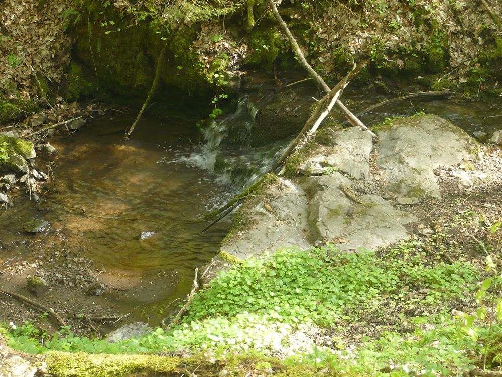 "Odels Uwe" Wanderweg Kronweiler 6mfq0q