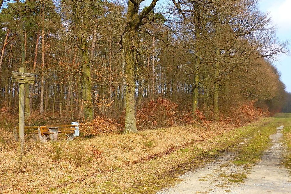 Soonwaldsteig   Zuweg Seesbach 2 8150o9