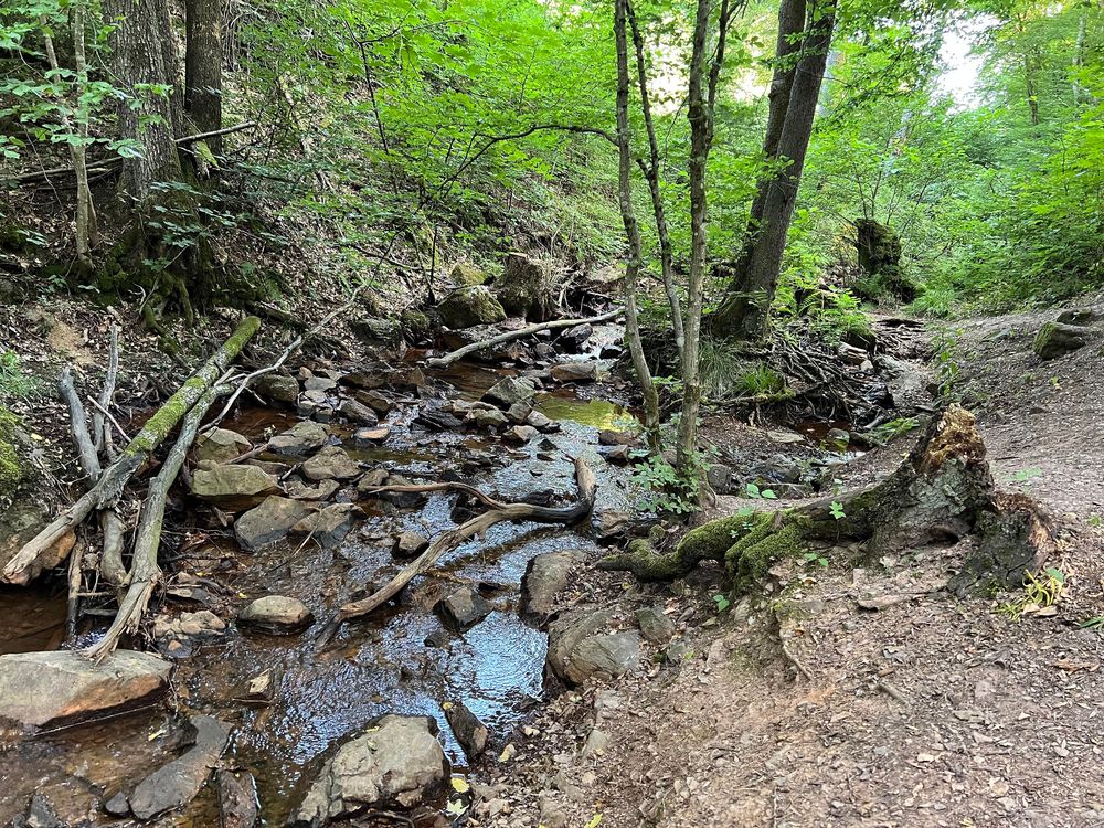 Ferienhäuser im Feriendorf Hambachtal 80i9qy