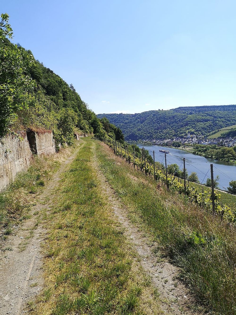 Uhu Steig Briedel 81enui