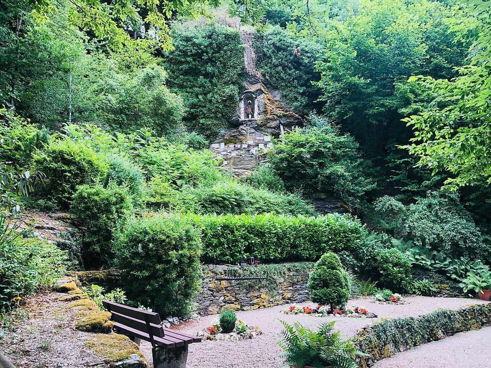 Rundwanderweg „Liebesschlucht“, Zell (Mosel) 6oo3vn